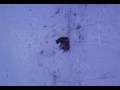 Video 0010