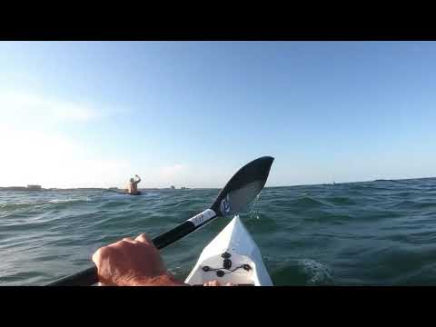 Just a typical Southeastern North Carolina Summer Downwind Day