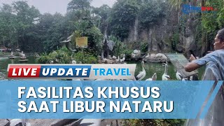 Tetap Buka Saat Liburan, Keeper Talk di Taman Margasatwa Ragunan Khusus Natal & Tahun Baru 2024