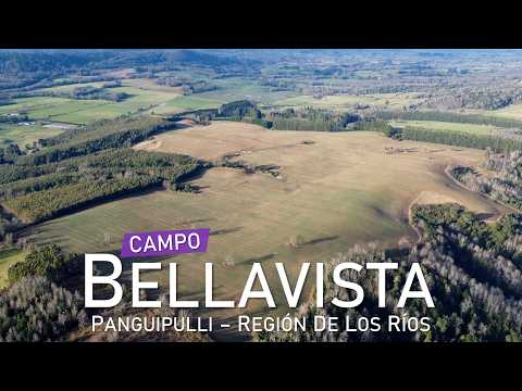 Campo en Panguipulli, Bellavista – Región de Los Ríos