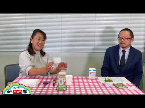 015:かいわれ大根の水耕栽培①【子どもゆうちゅう部】