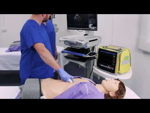 HeartWorks Dual Simulator TEE & TTE