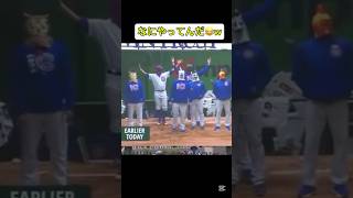 MLBなにやってたんだw動画集 #大谷翔平 #大谷 #mlb #面白動画 #爆笑