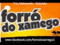 Trio Meketrefe - Gabriela 