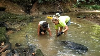 Gold Dredging Adventure - Found Indian Artifacts and Gold! | Nugget Noggin