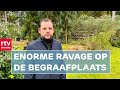 Storm sloopt meerdere graven & dakdekkers hebben enorme drukte | Drenthe Nu