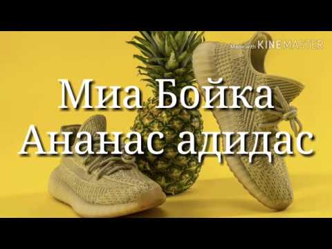 Караоке Миа Бойка - Ананас Адидас (текст песни)