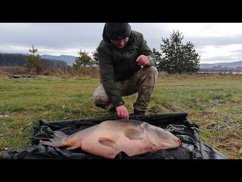 Karpie z zimnej wody. 8th of December 2018. Catching Carp in Winter.