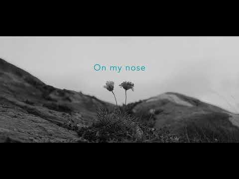 Honey Honey - José González