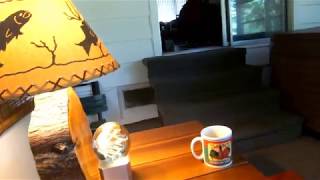 Cool enough to enjoy the porch this morning