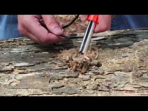 Black Scout Reviews - Survivor Firestarters