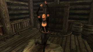 Skyrim (мод) "FNIS - Анимация и позы в Скайриме "