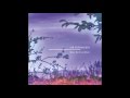 Air Formation - Last Resolve 