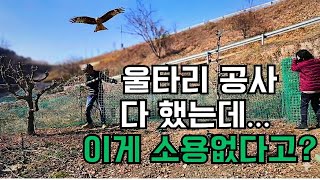 [충격] 닭들이 계속 사라진 이유.. CCTV 확인하고 경악했습니다