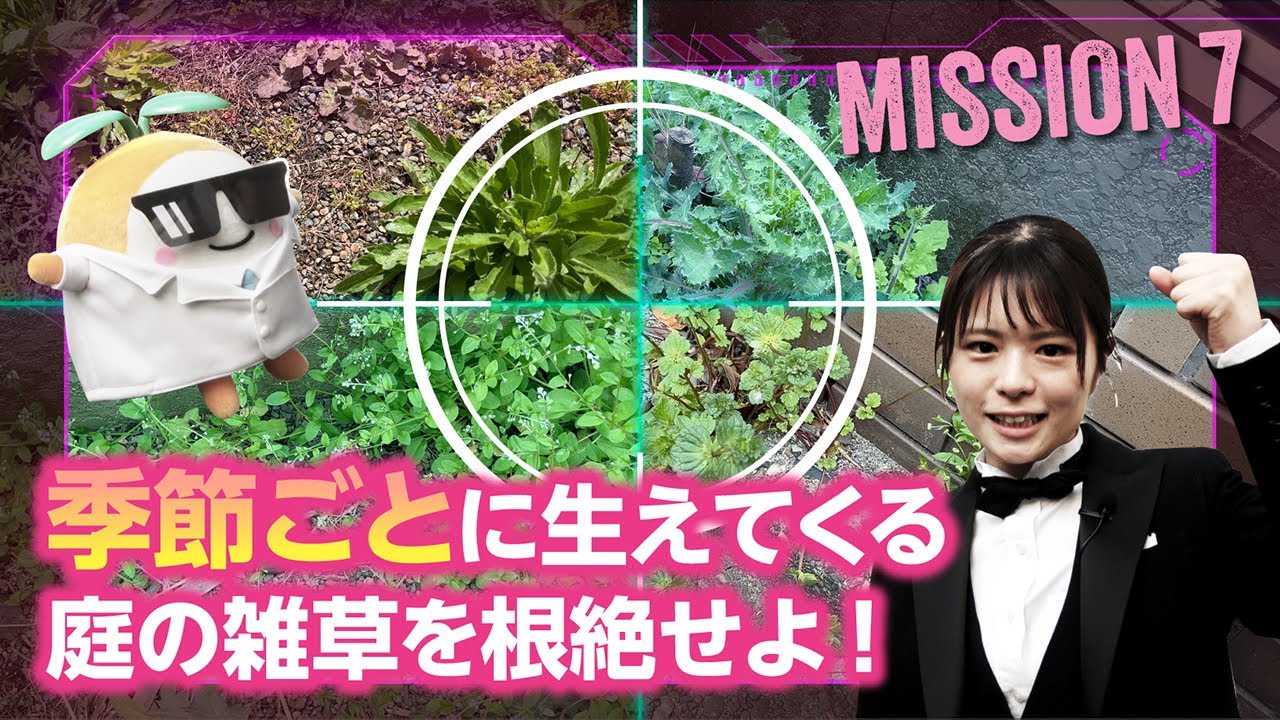 季節ごとにいろいろ生えてくるお庭の雑草を何とかしたい！草むしりは手間だし、楽に根絶する方法ってないの？！【ふたばの雑草ハンター】 mission7 季節の雑草編