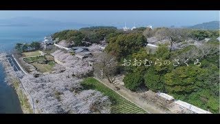 大村公園　日本さくら名所100選