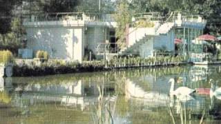 Ducktails - In the Swing