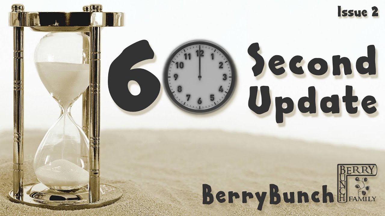 60 Second Update, Issue 2
