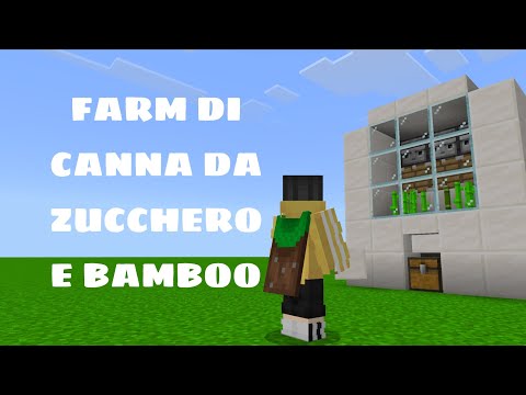 COME CREARE UNA FARM DI CANNE DA ZUCCHERO E BAMBOO | Minecraft ITA