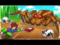 I Fought The New Wolf Spider In Grounded 2