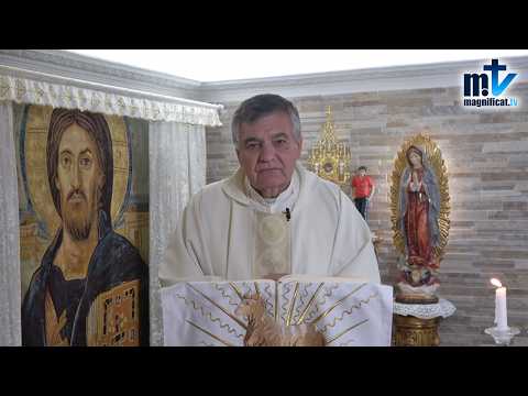 "El Señor Sabe que Eres Pecador y te Necesita" | Homilía, San Gregorio Magno, Papa y Doctor de la Iglesia (03-09-2026) | P. Santiago Martín, FM