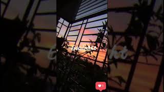 Download lagu Story wa good night mp3