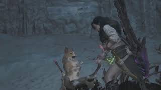 [MHWs]久しぶりの夜モンハン