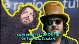Canova - Groupie | COVER