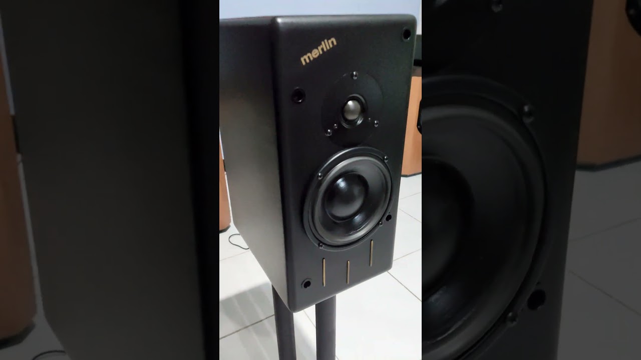 Merlin TSM speaker high end