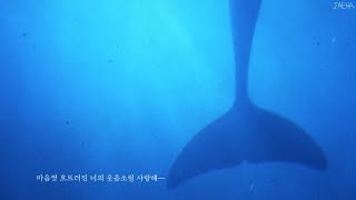 [가사] 디어클라우드, 블루진 / 내 이름을 부르는 너의 목소리를 사랑해 (Dear Cloud - Blue Jeans)