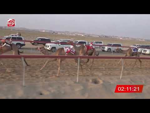  ش 15 (غاره) لـ صالح سالم حمود الشبيبي 6:2 , شارة الديوان 3 2026/10/05 سويحان لقايا 