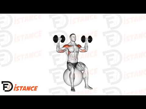Développé militaire assis avec haltères sur ballon (Swiss Ball) - Exercice Développé militaire assis avec haltères sur ballon (Swiss Ball) en vidéo
