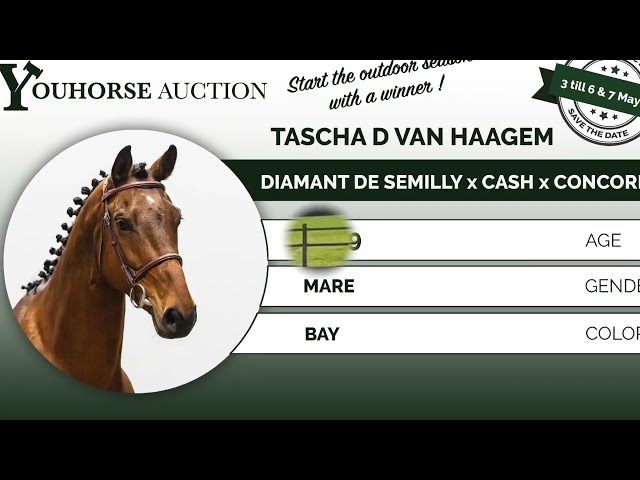 Tascha D van Haagem first show
