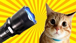 5 life hacks with A STUN GUN what a stun gun is capable of