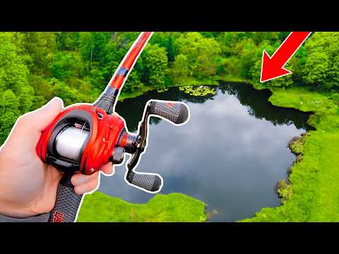 Fishing for 15lb Bass in HIDDEN Pond!