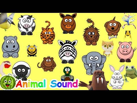 The Animal Sound Song A12A13 || Kids Songs and Nursery Rhymes || EduFam ~