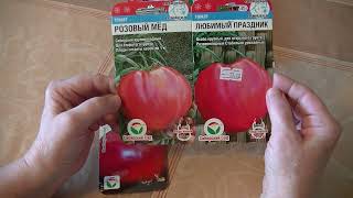 Томат Малиновый ожаровский: отзывы, описание сорта, фото, видео, отзывы ...