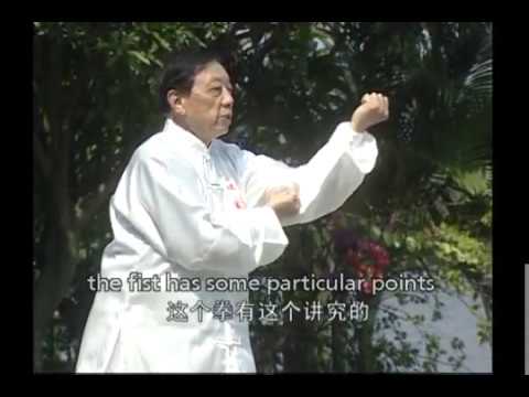 Xingyi  Wuxing Quan  Lecture   '形意五行拳'
