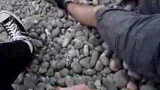 The Fossils of Sheringham Beach