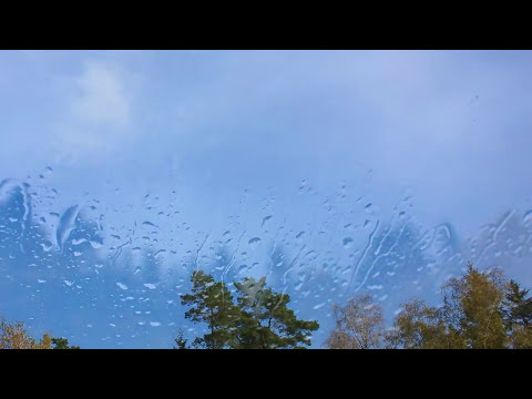 "Autumn Park" (official video) - by Ronald Van Deurzen