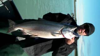 preview picture of video 'Alaska KING SALMON'