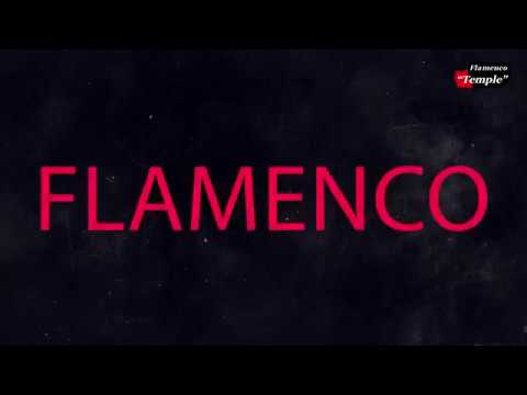 Video 6 de Flamenco Temple