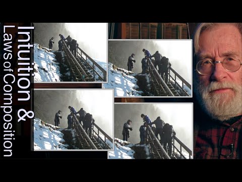 Intuition and Laws of Composition #277