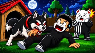 Video thumbnail image