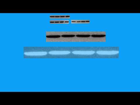 20C91D5E0A7793CEB7C6EF36E8ACA1#3