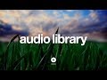 Grass by Silent Partner