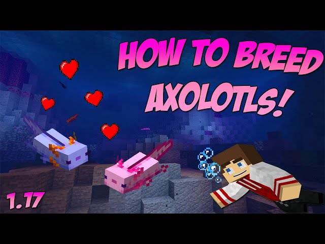 Blue Axolotls In Minecraft 1 17 Caves Cliffs Update All You Need To Know