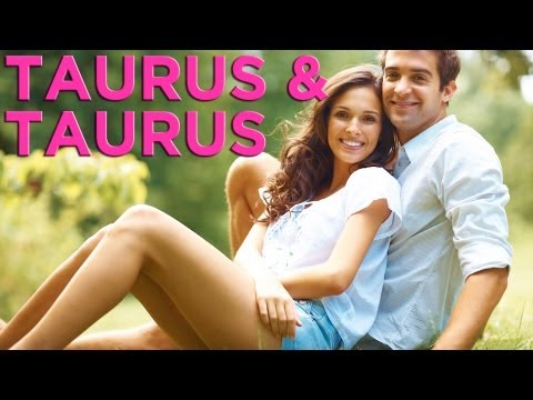 Is Taurus Compatible with Taurus? | Zodiac Love Guide