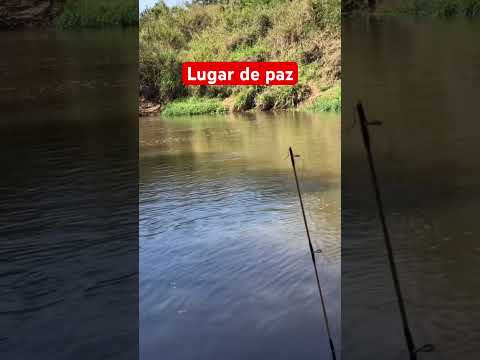 Rio Corumbataí #pescador #rio # #viral #fishing  #shortvideo #shorts