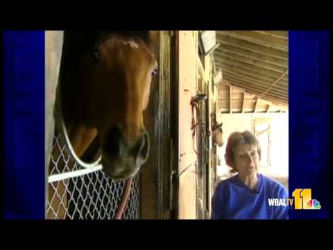 2003: Magic Weisner inspires a nation